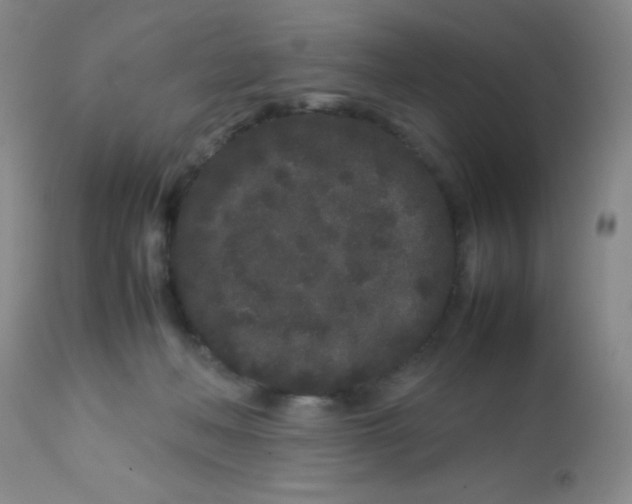 X0000113760222200910211217