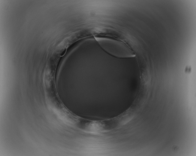 X0000113760223200910211217