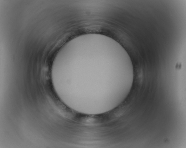 X0000113760224200910211217