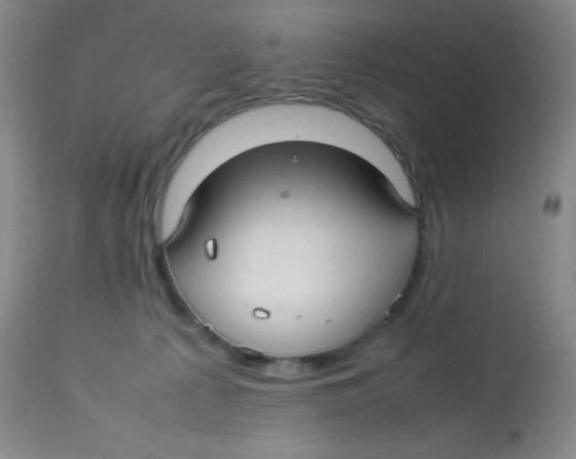 X0000113760225200910211217