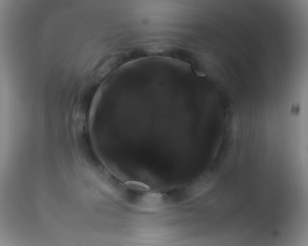 X0000113760227200910211216