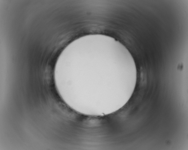 X0000113760228200910211216