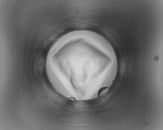 X0000113760230200910211216