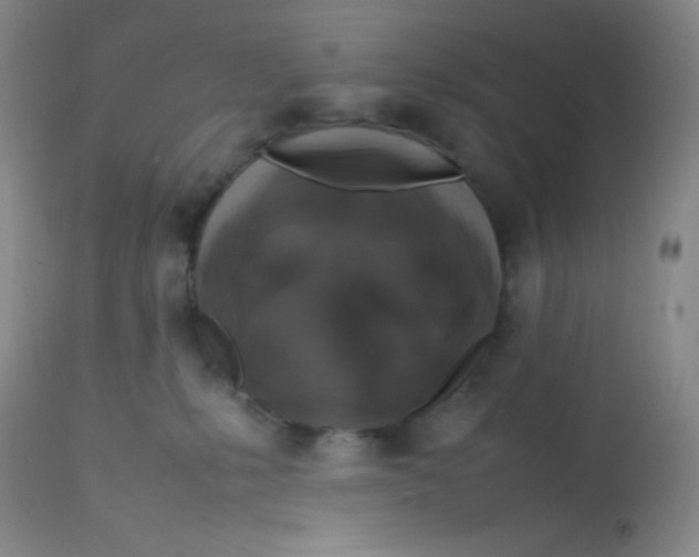 X0000113760231200910211216