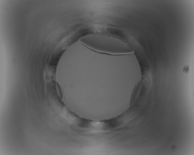 X0000113760233200910211216