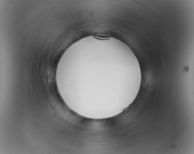 X0000113760236200910211216