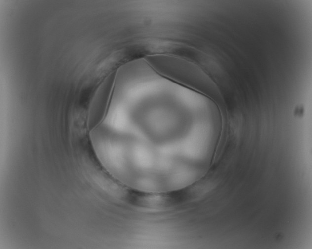 X0000113760237200910211216