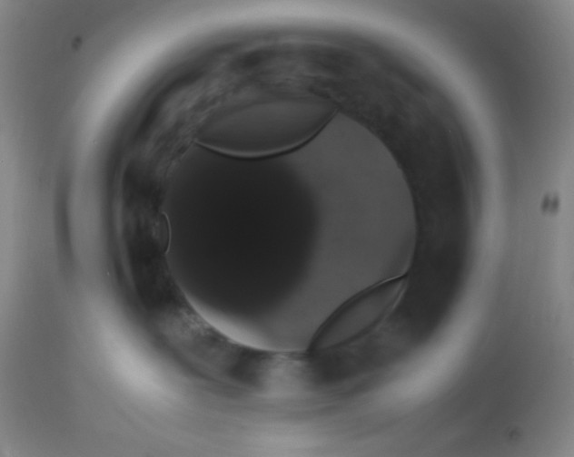 X0000113760239200910211216