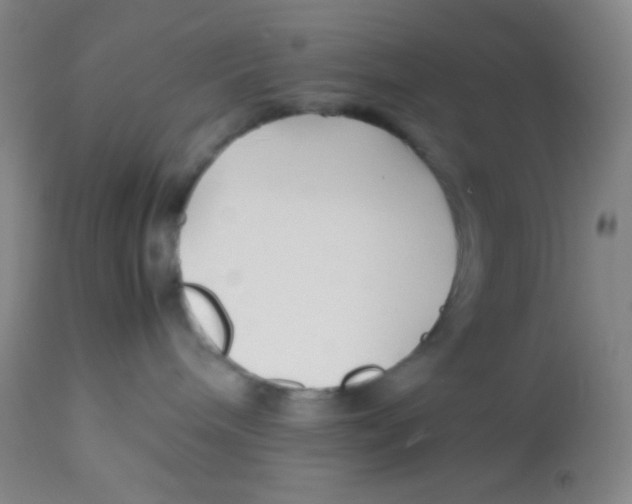 X0000113760240200910211216