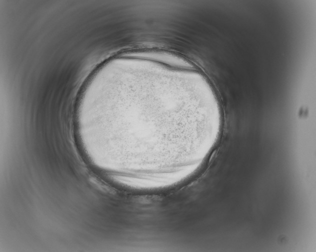 X0000113760241200910211216