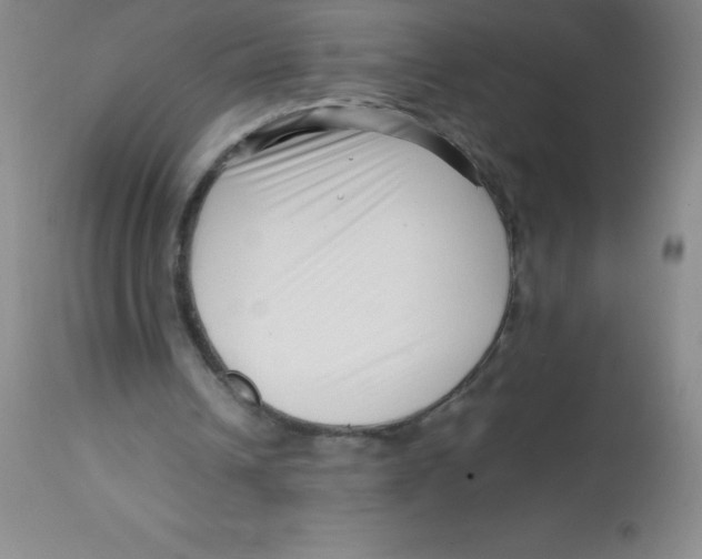 X0000113760242200910211216