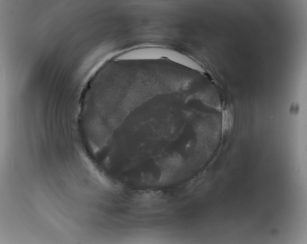 X0000113760243200910211216