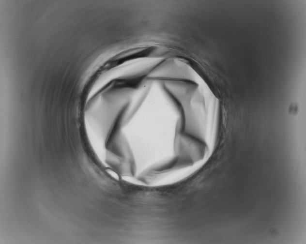 X0000113760244200910211216