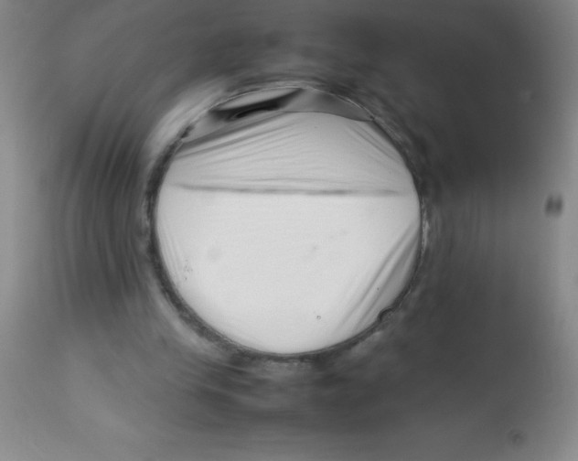 X0000113760245200910211216