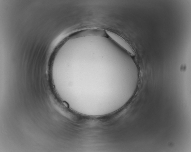 X0000113760246200910211216