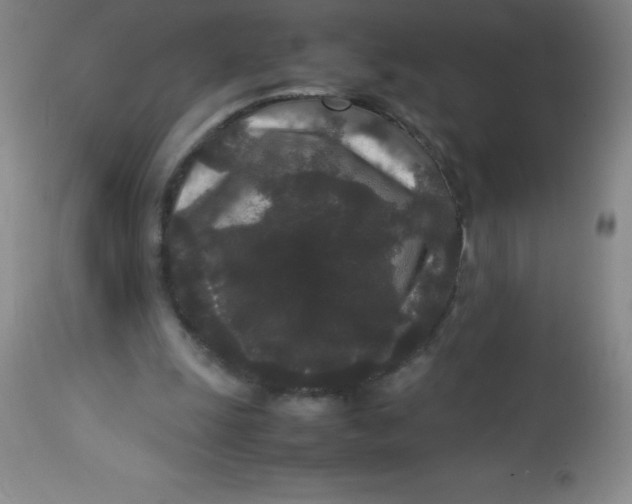 X0000113760247200910211216