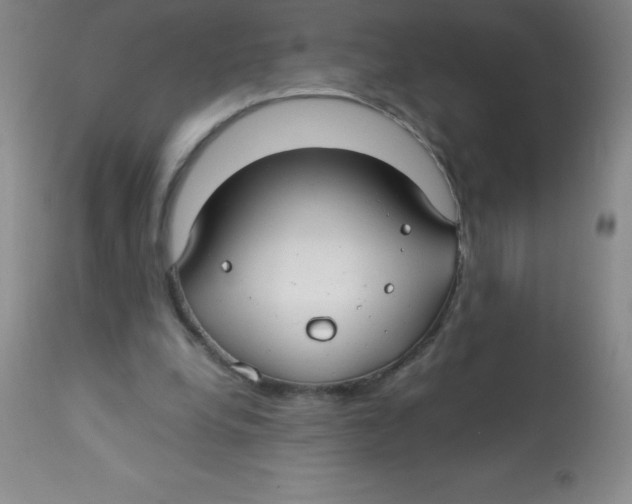 X0000113760248200910211216