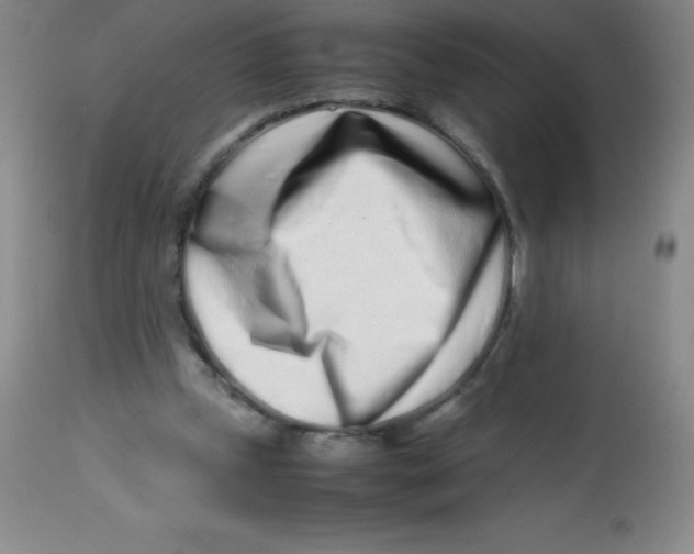 X0000113760249200910211216