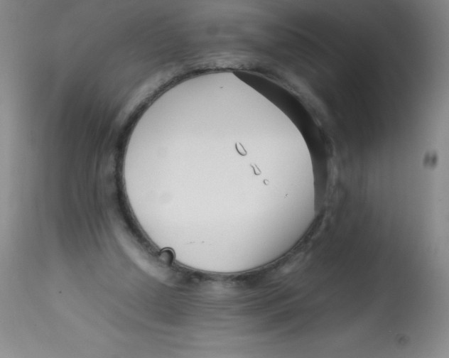 X0000113760250200910211216