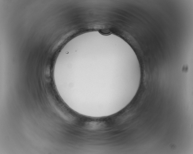 X0000113760251200910211216