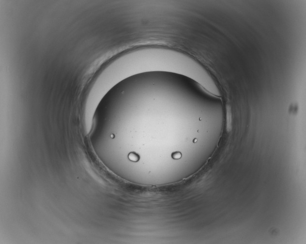 X0000113760252200910211216