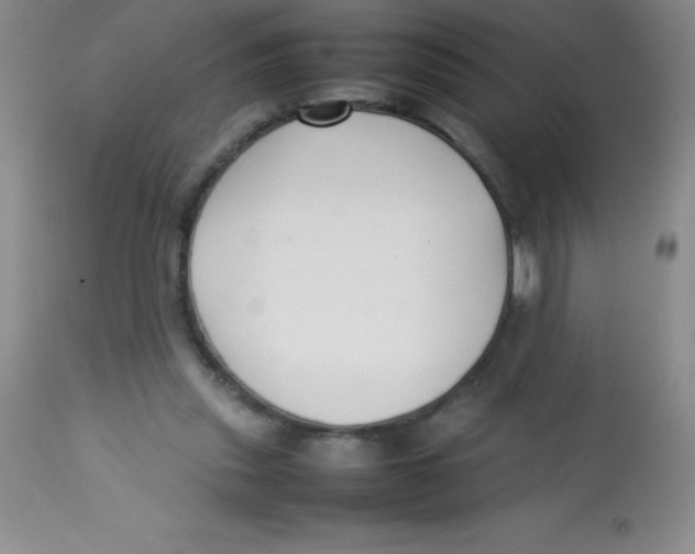 X0000113760253200910211216