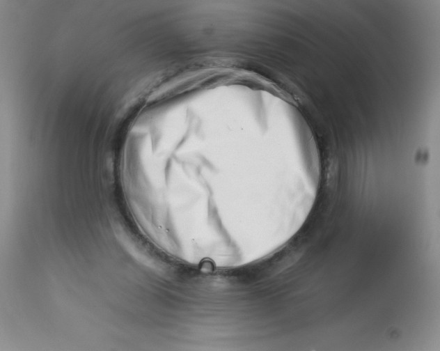 X0000113760254200910211216