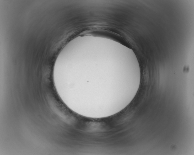 X0000113760255200910211216