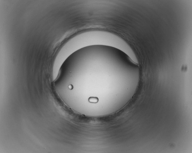 X0000113760256200910211216