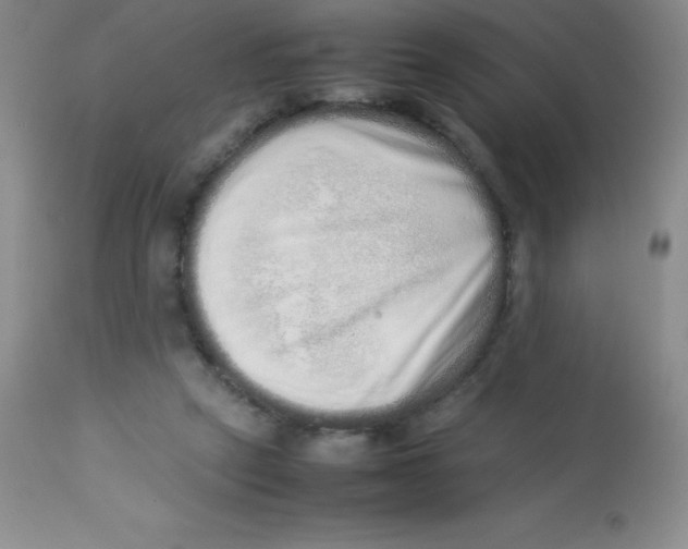 X0000113760257200910211216