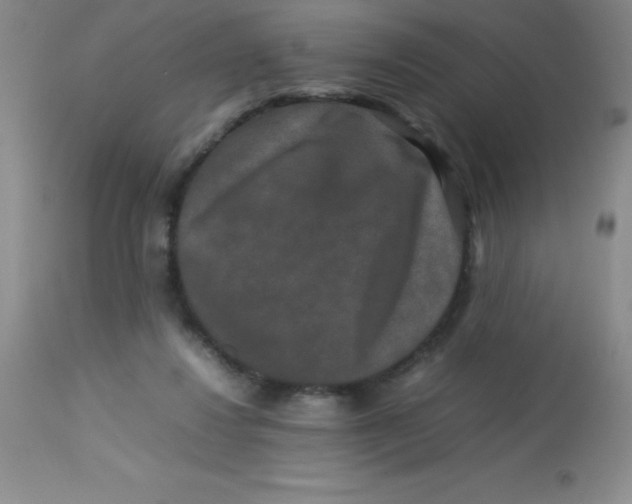 X0000113760260200910211216