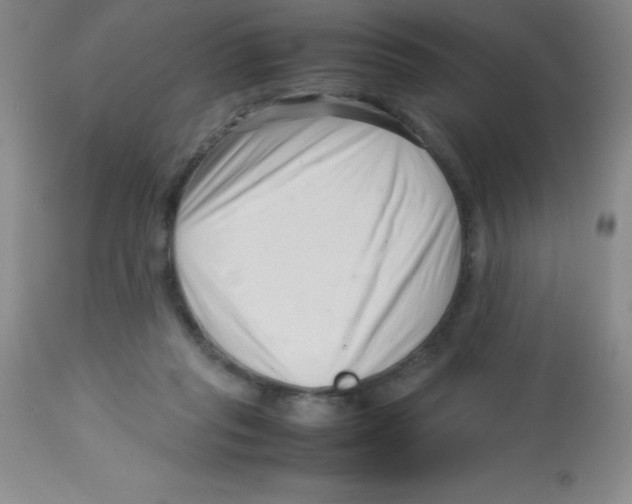 X0000113760261200910211216