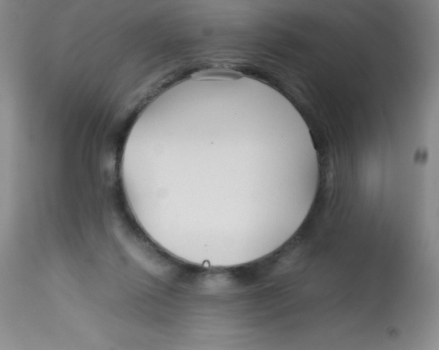 X0000113760262200910211216