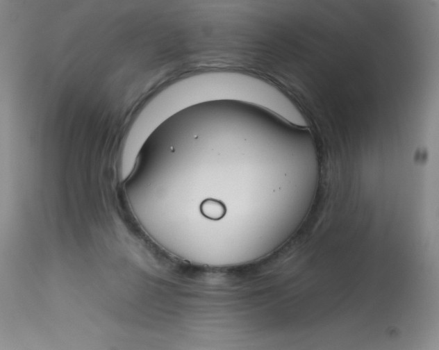 X0000113760264200910211216