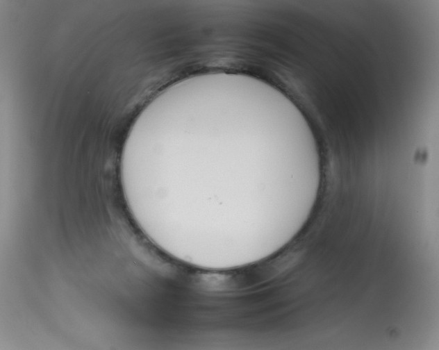 X0000113760265200910211216