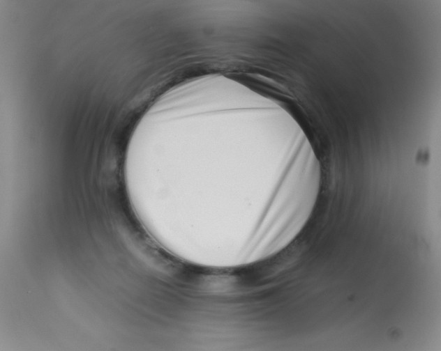 X0000113760266200910211216