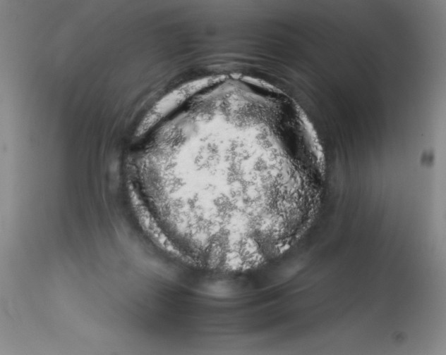 X0000113760267200910211216