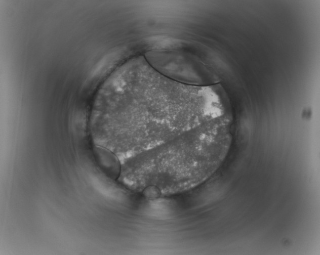 X0000113760268200910211216