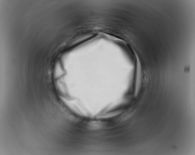 X0000113760269200910211216