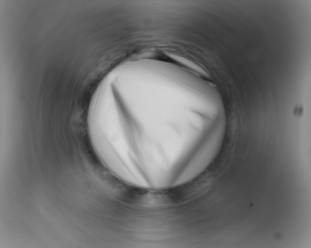 X0000113760270200910211216