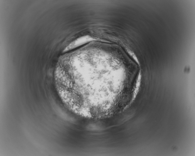 X0000113760271200910211216
