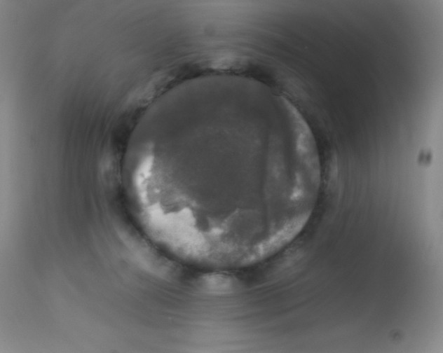 X0000113760272200910211216
