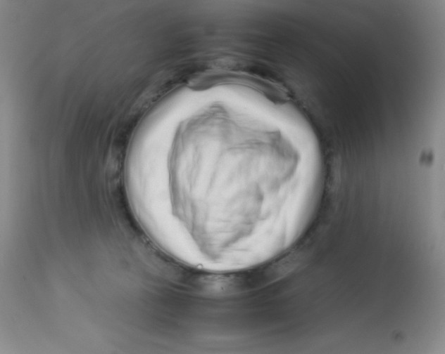 X0000113760273200910211216