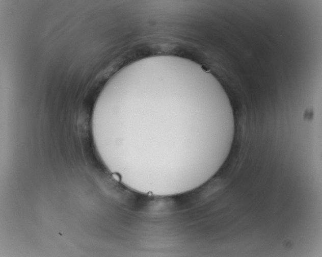 X0000113760274200910211216