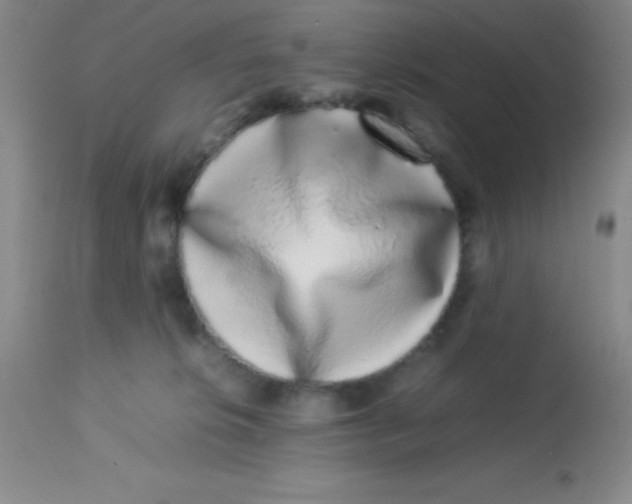 X0000113760276200910211216