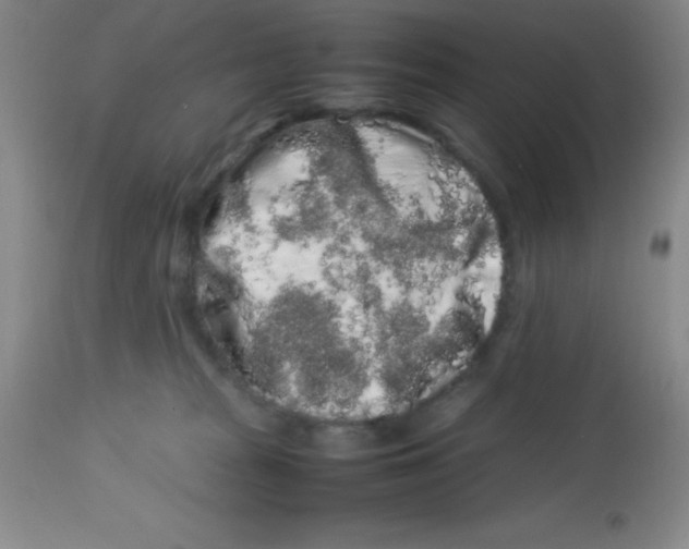 X0000113760277200910211216