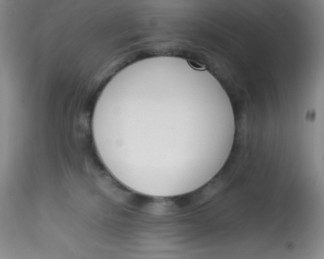 X0000113760278200910211216