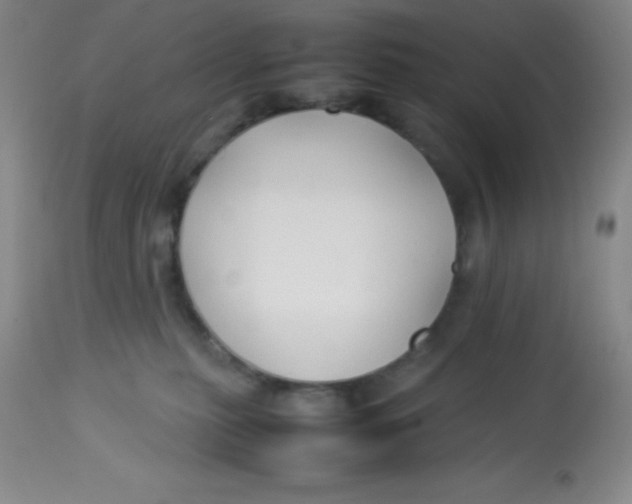 X0000113760279200910211216