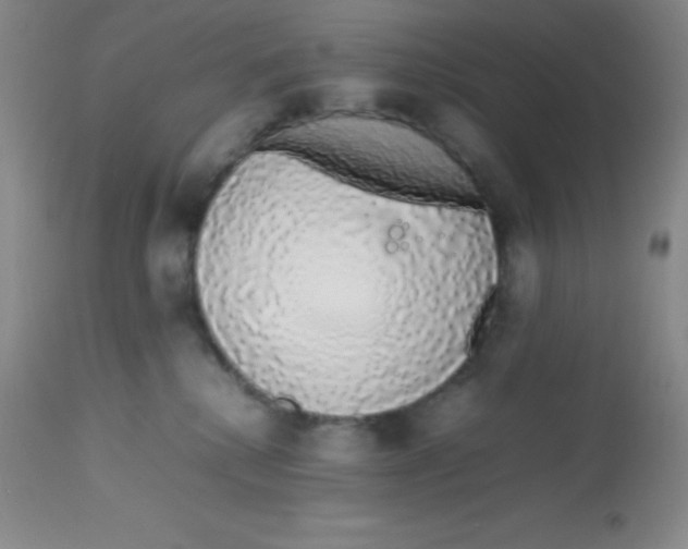 X0000113760280200910211216