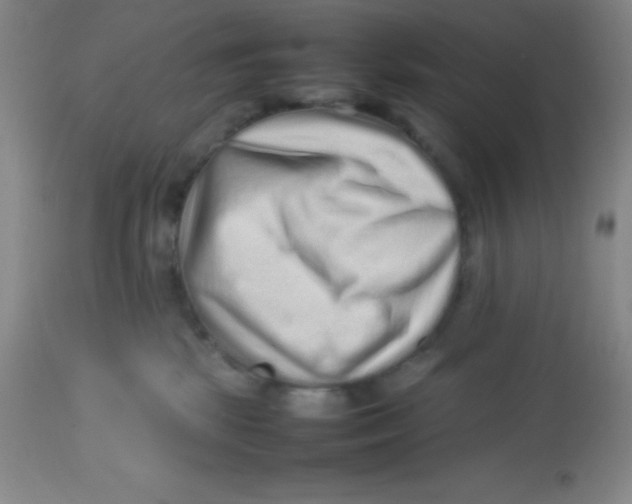 X0000113760281200910211216